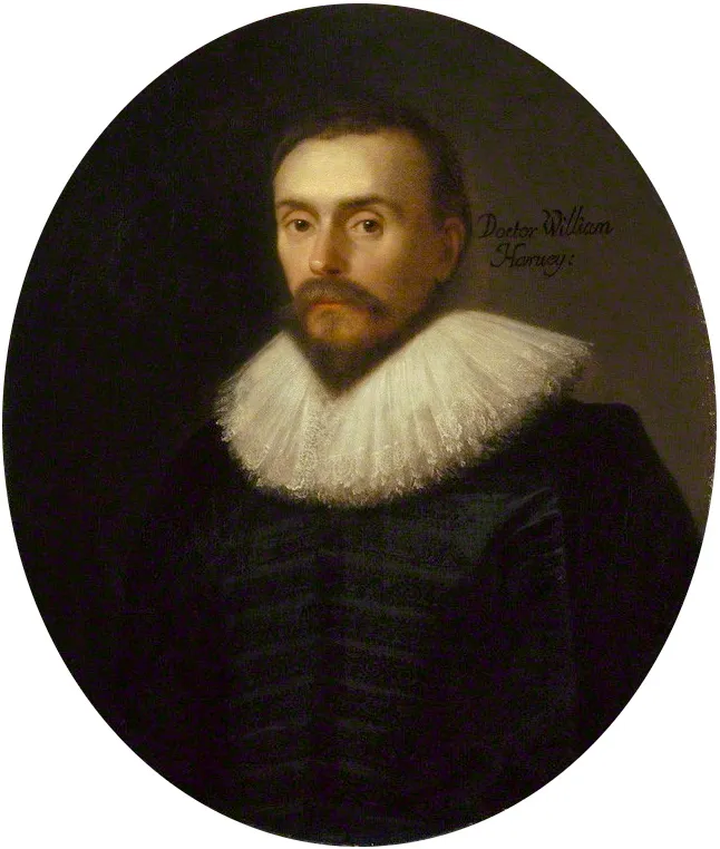 William Harvey, after a portrait by Daniël Mijtens, about 1627