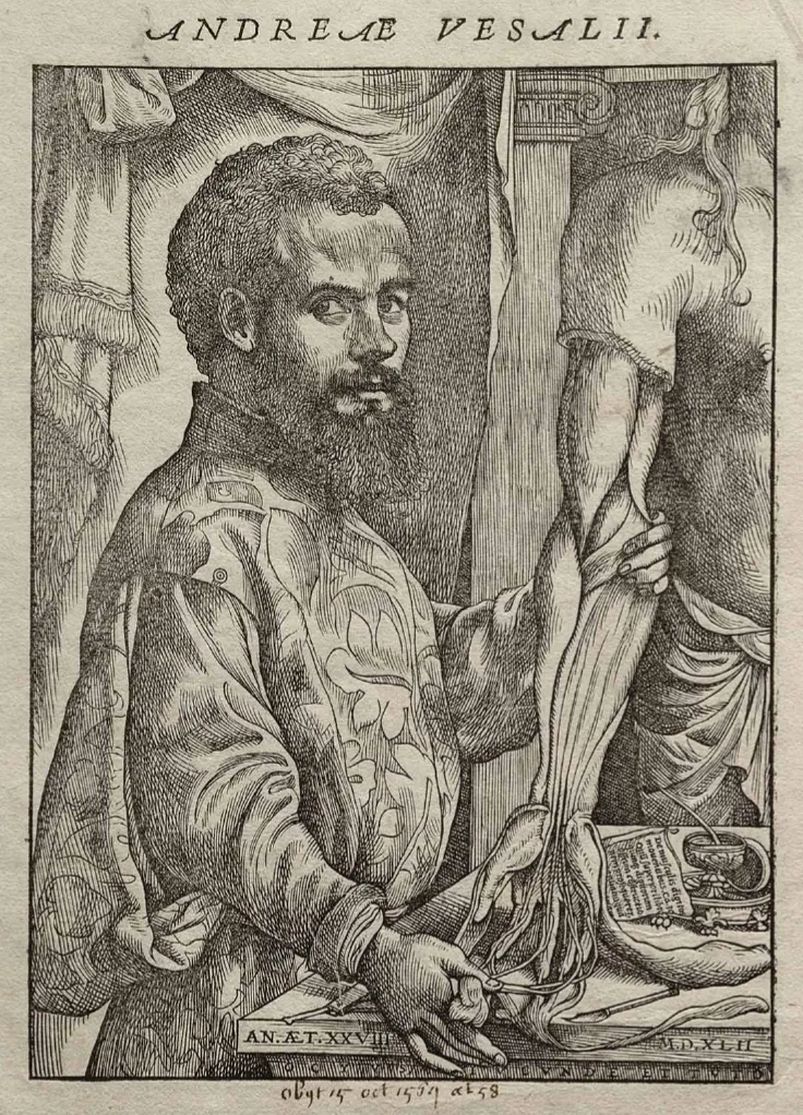 28 yaşında Andreas Vesalius, Fabrica’dan, 1543