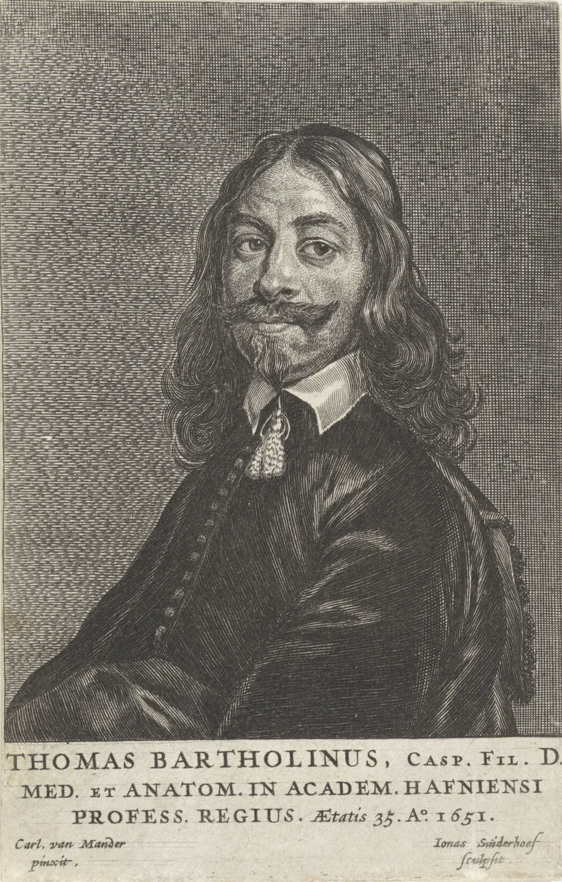 Thomas Bartholin at 35, professor of anatomy at Copenhagen, engraving by Jonas Suyderhoef after Carel van Mander, 1651